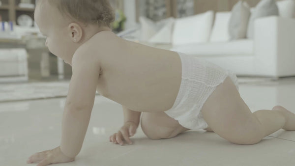 wall baby 